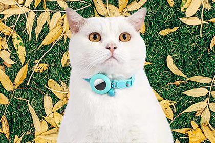 Colorful pet collar with positioning function